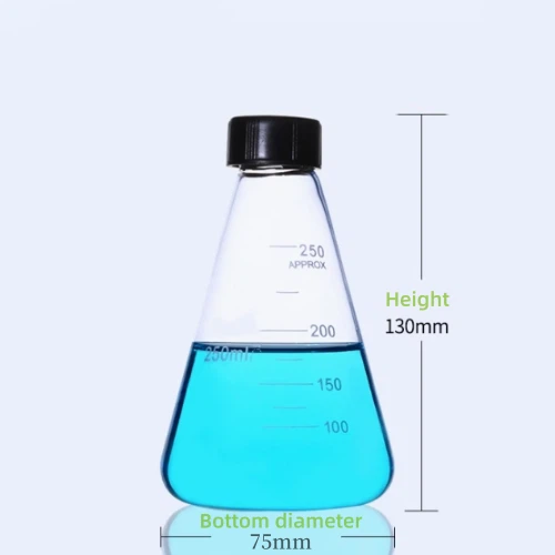 Large Conical Flask
